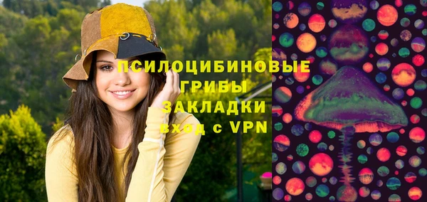 соль ск Арсеньев